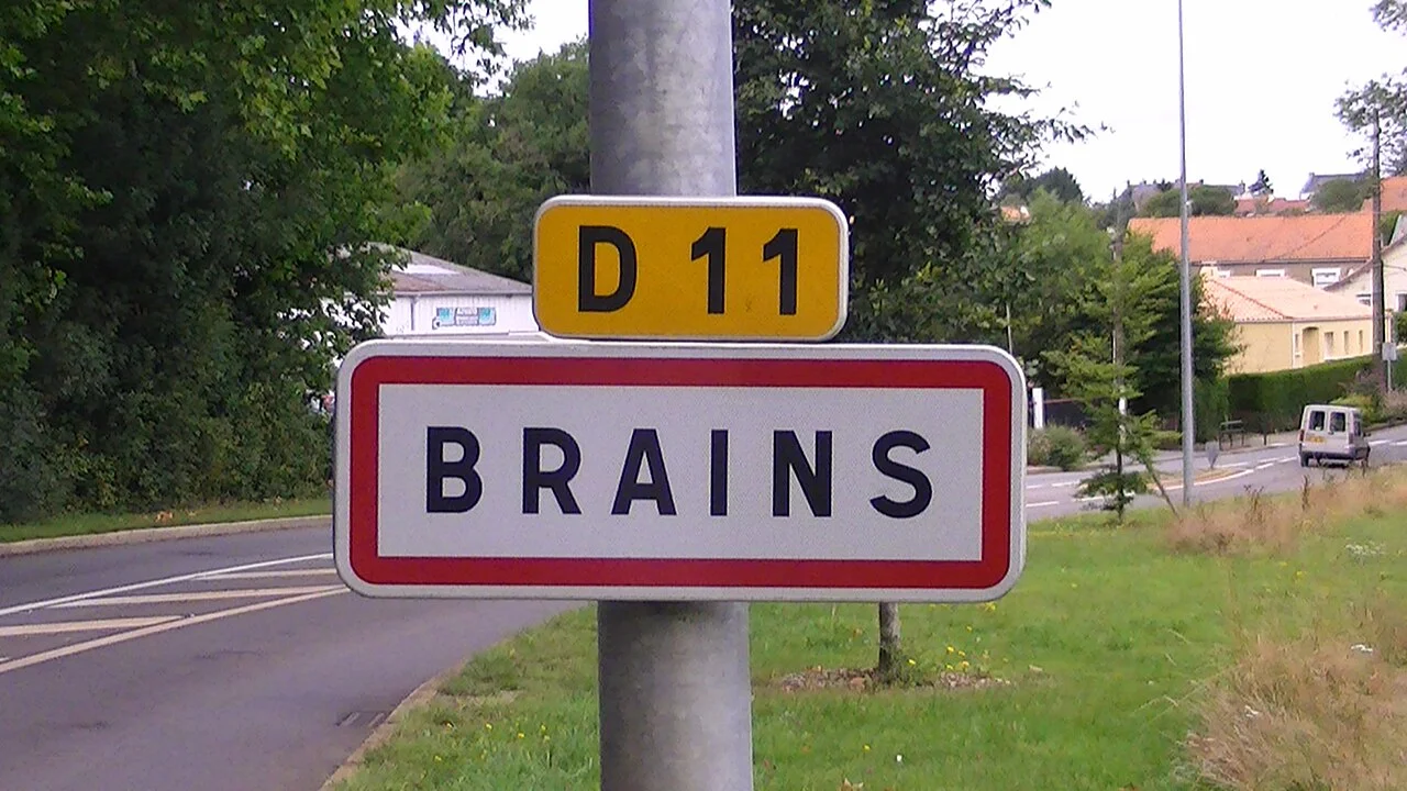 Photo of Brains