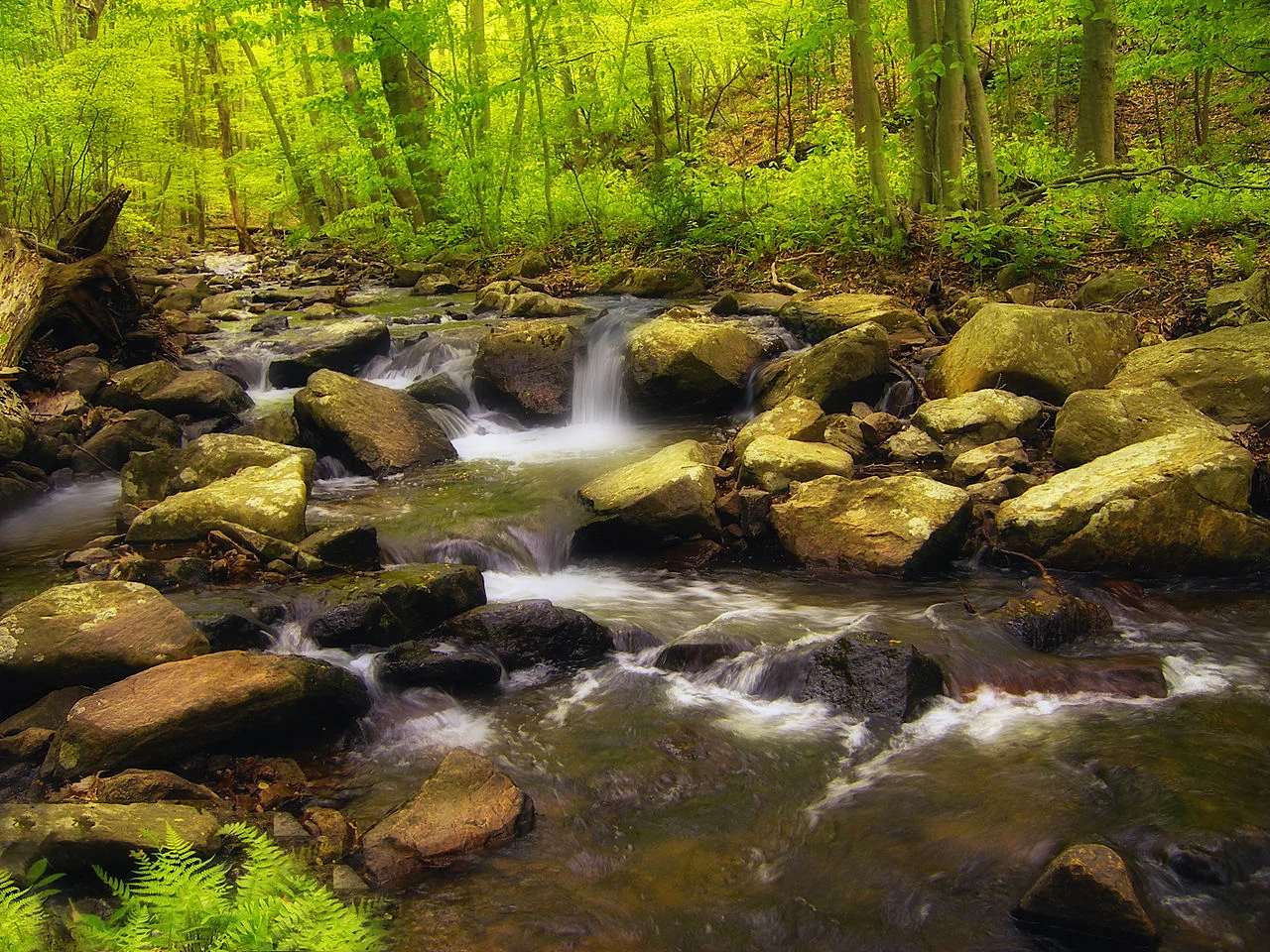 Photo of Brass Castle