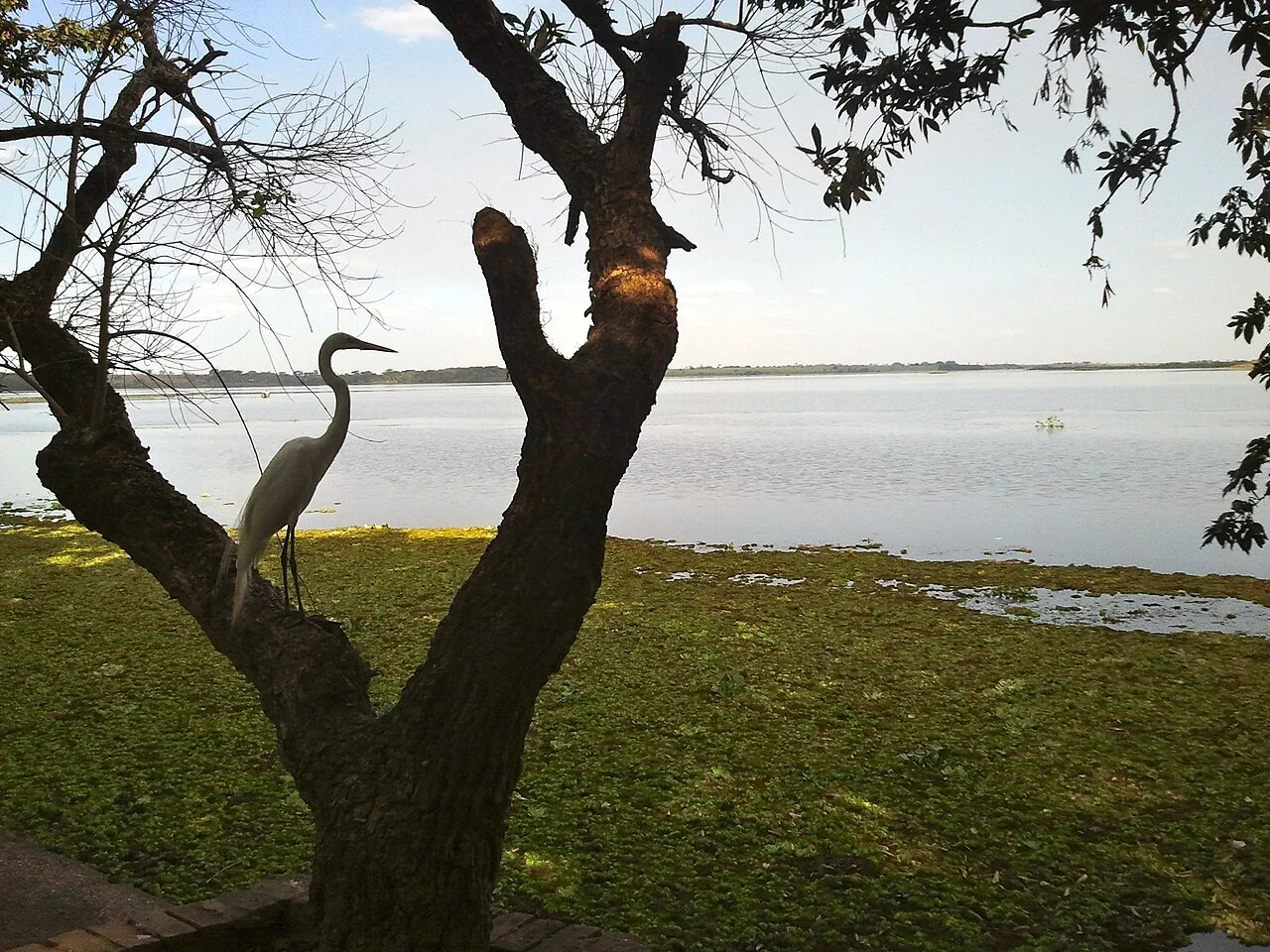 Photo of Brejo Alegre