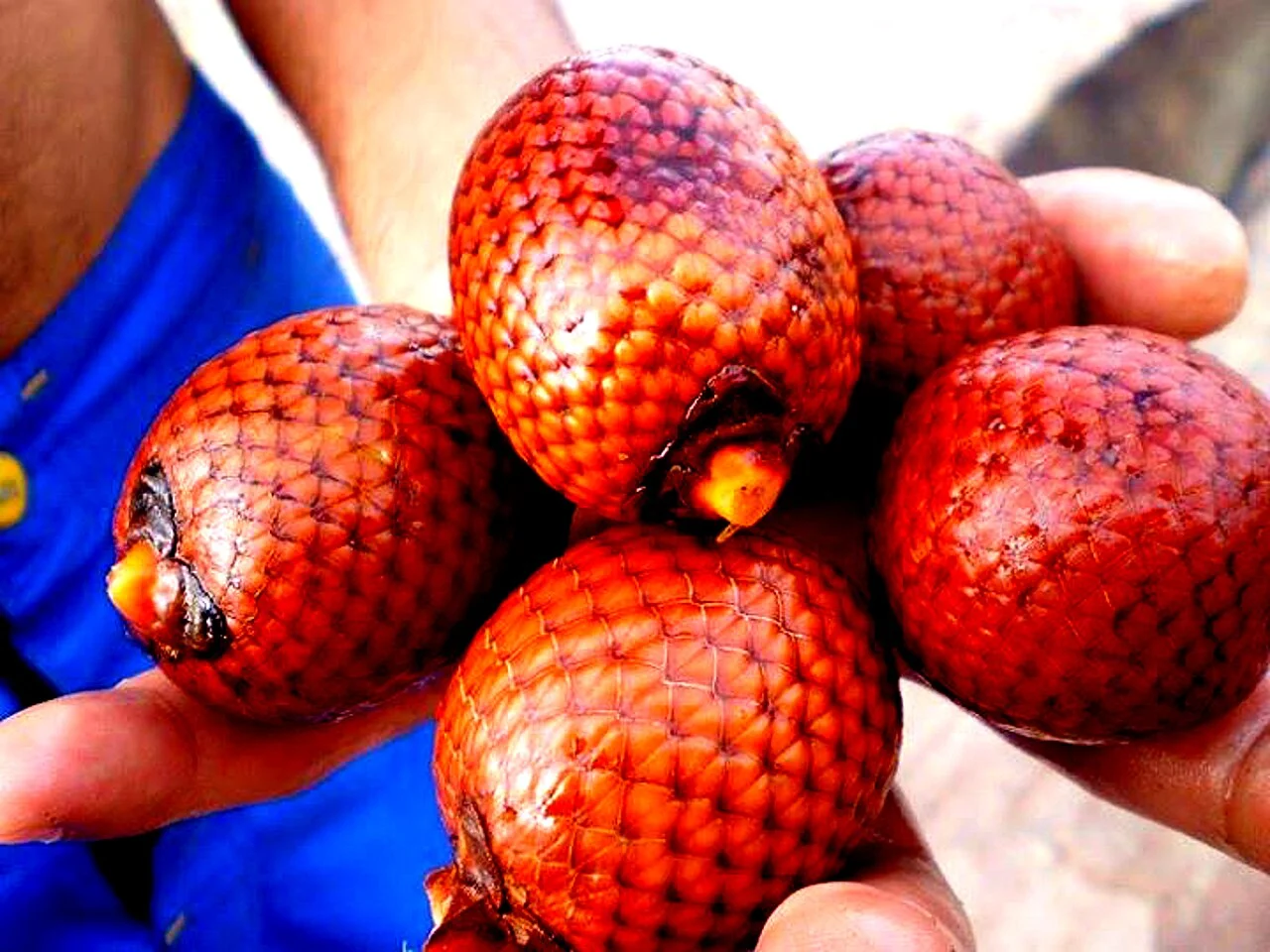 Photo of Brejo do Piauí