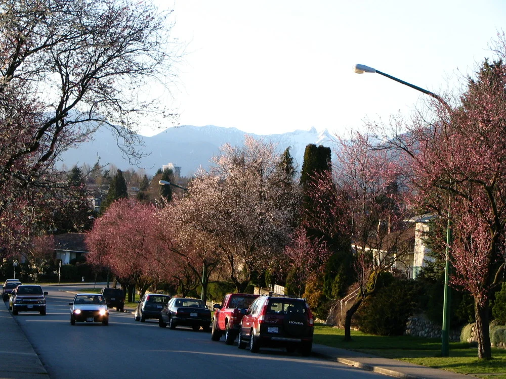 Photo of Brentwood Park