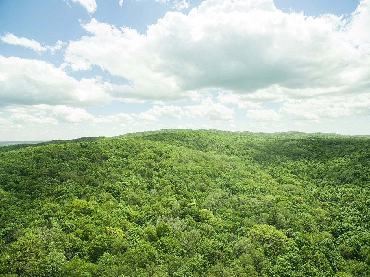 Photo of Briar Hill