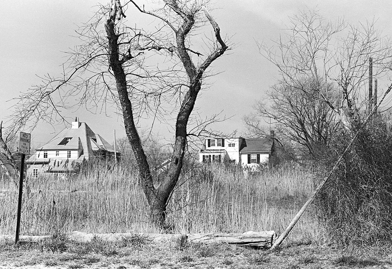 Photo of Brightwaters