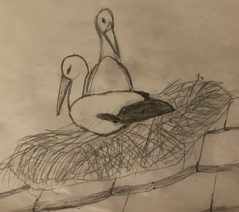 Photo of Brodski Varoš