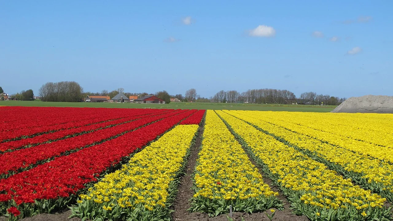 Photo of Broek op Langedijk