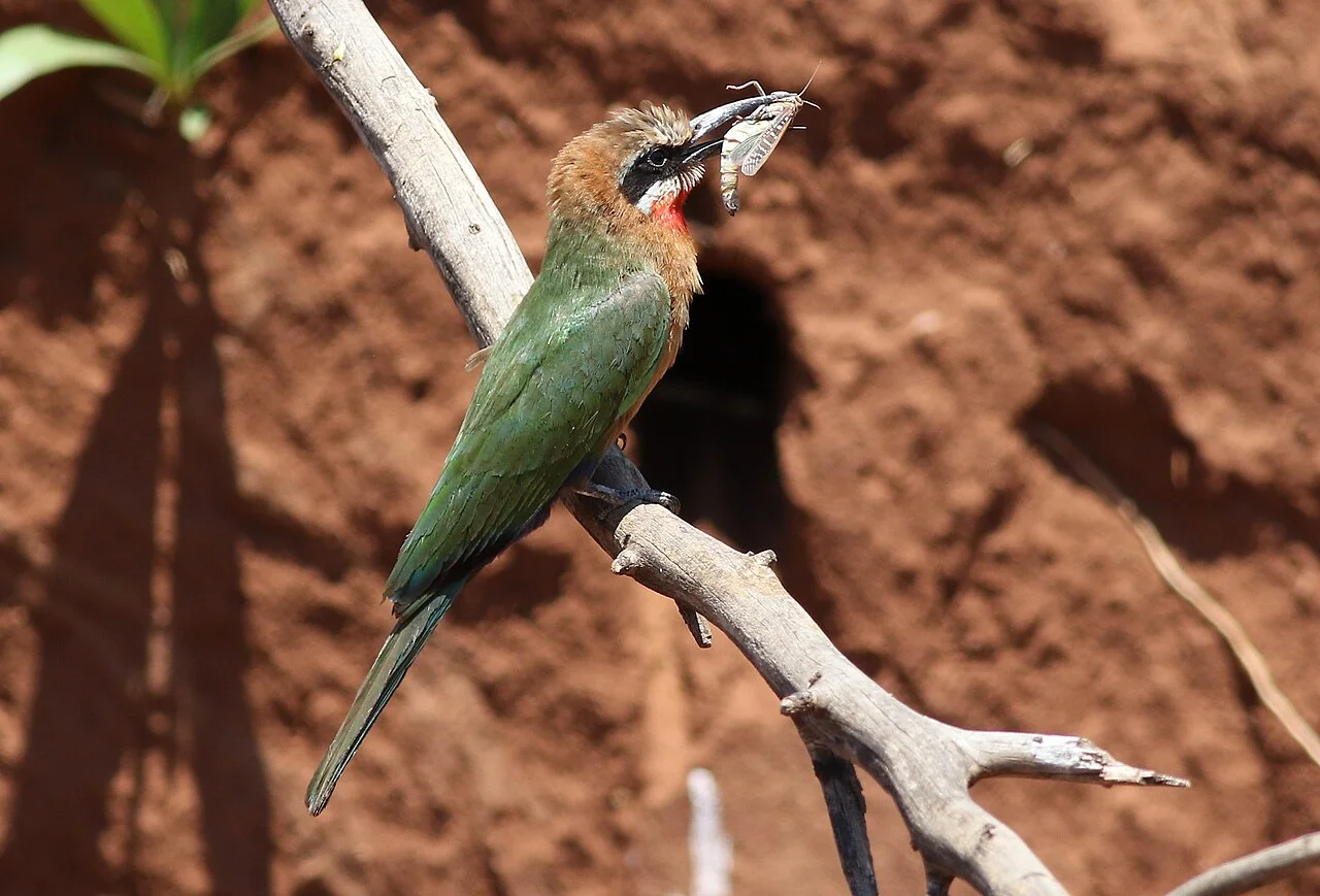 Photo of Bronkhorstspruit