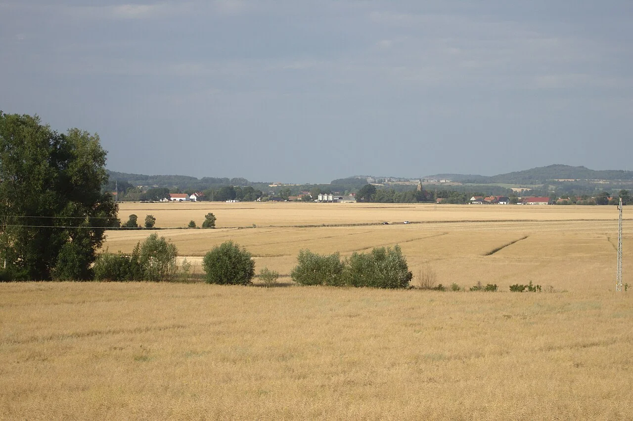 Photo of Bronów