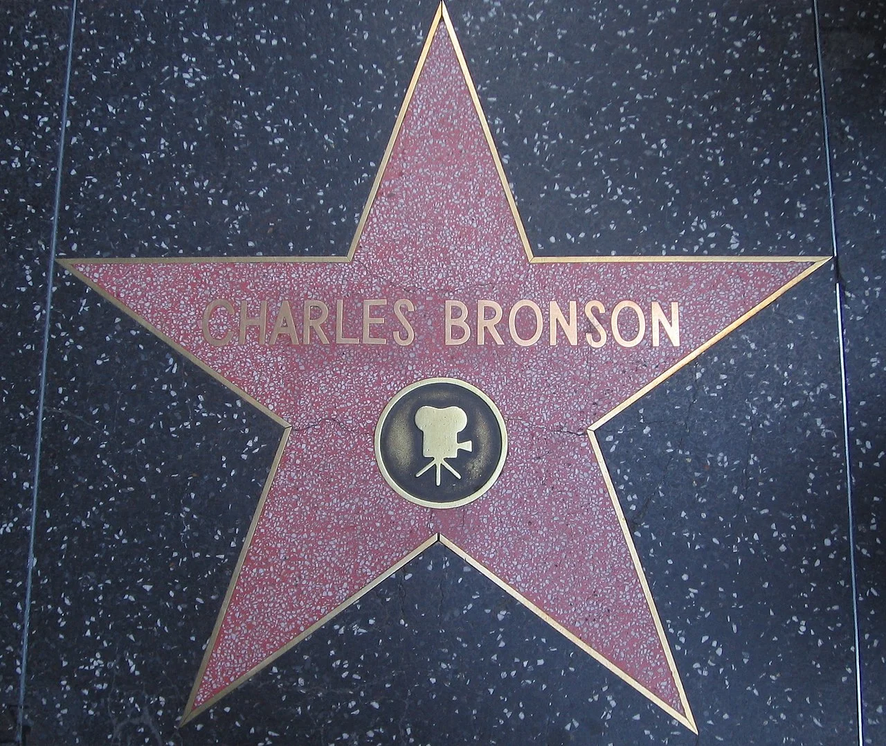 Photo of Bronson