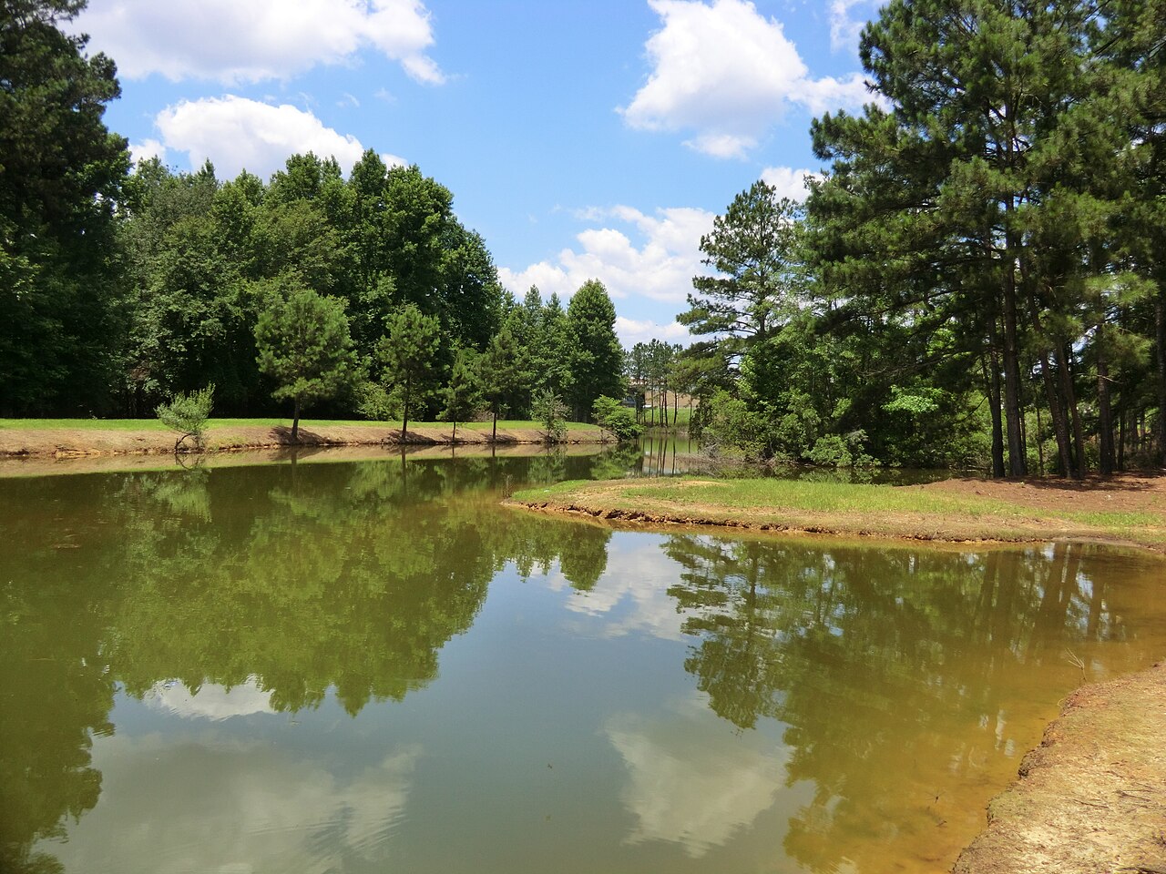 Brookdale, SC 29115, USA