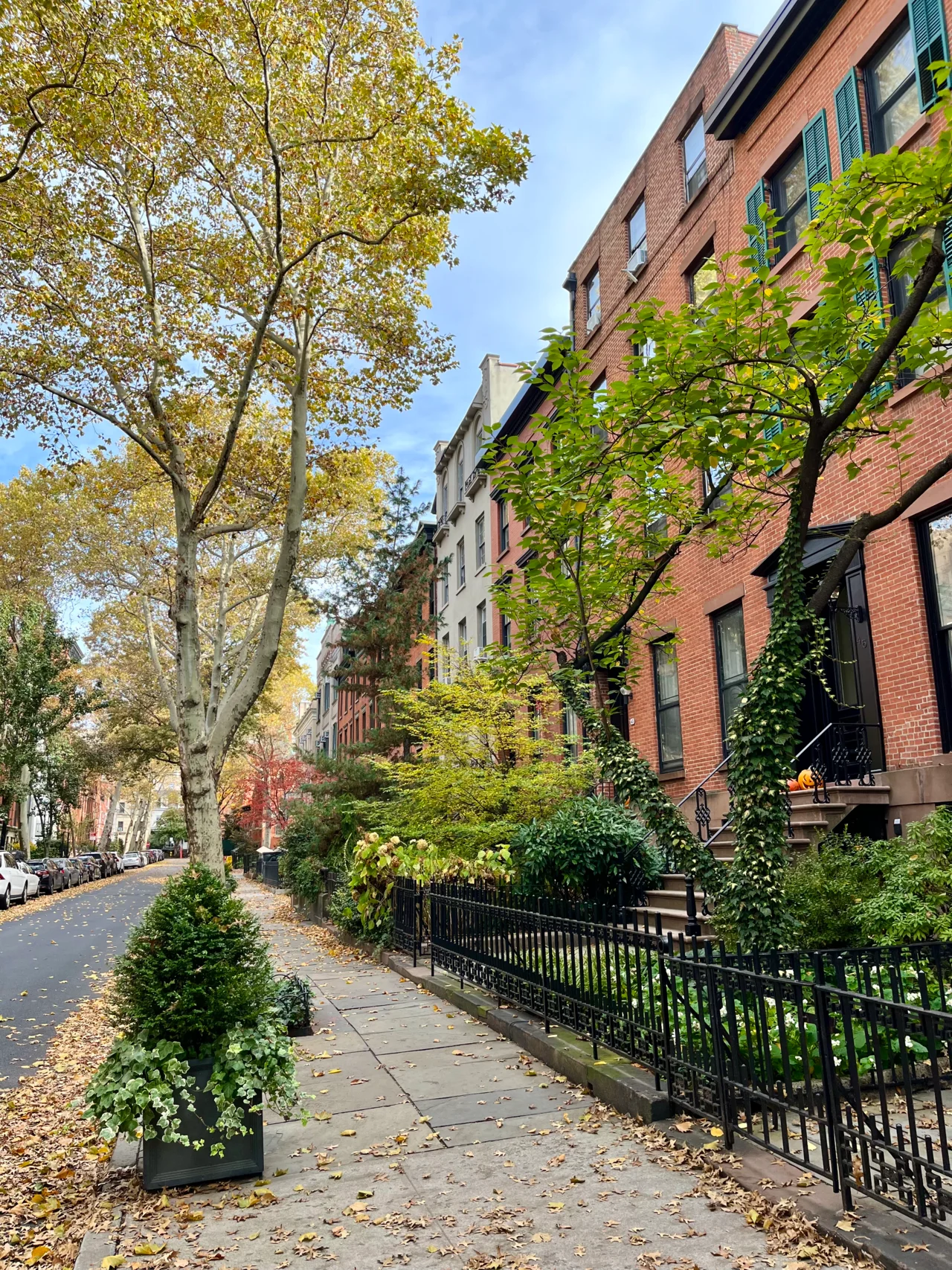 Photo of Brooklyn Heights