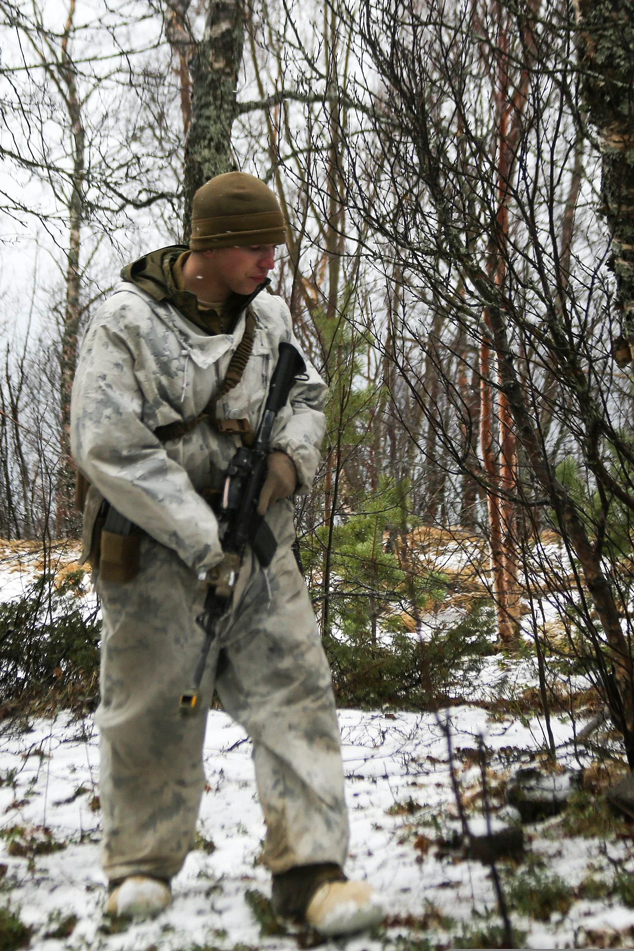 Photo of Brøstadbotn