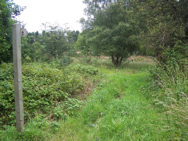 Brownhills Common