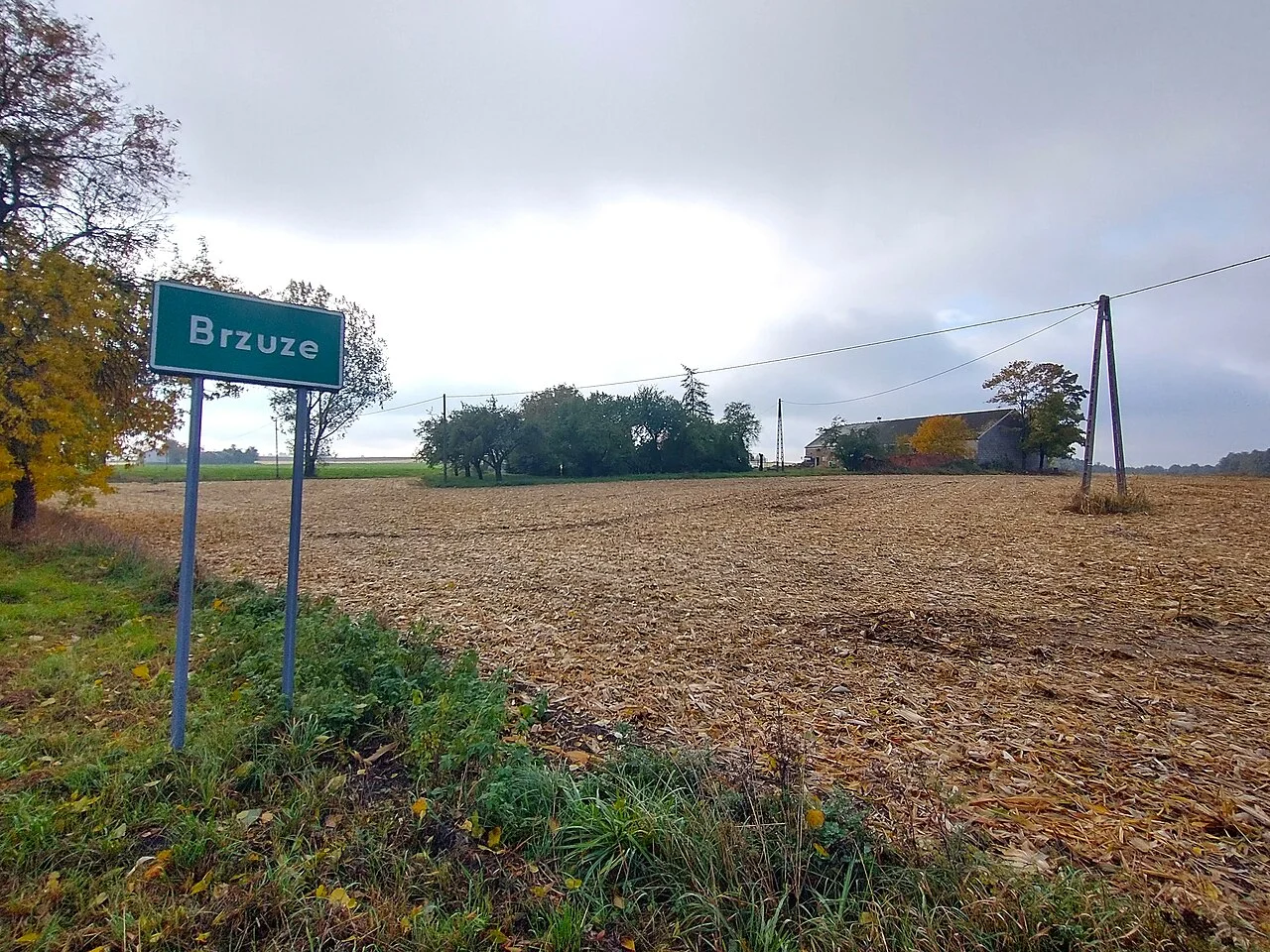 Photo of Brzuze