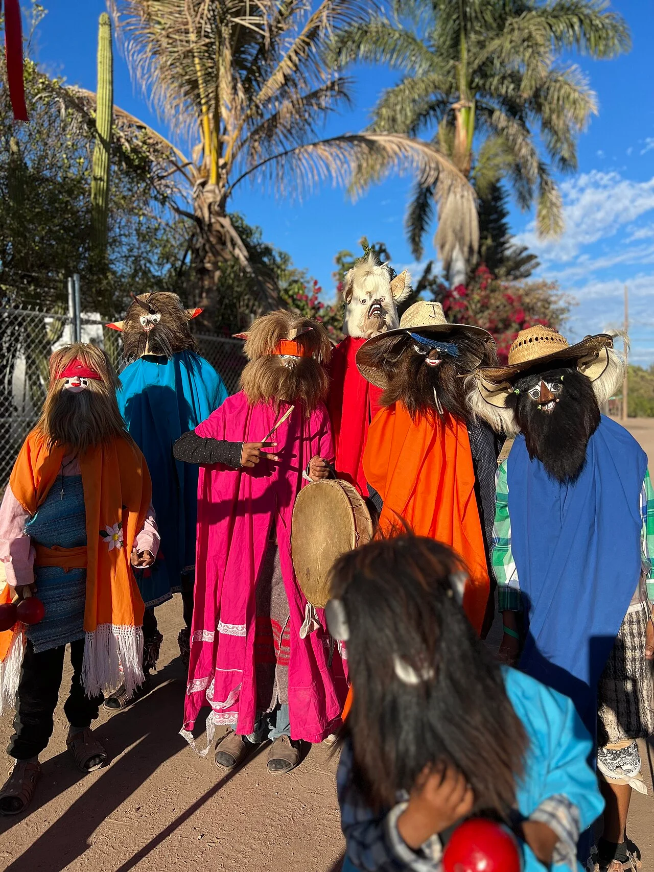 Photo of Buaysiacobe