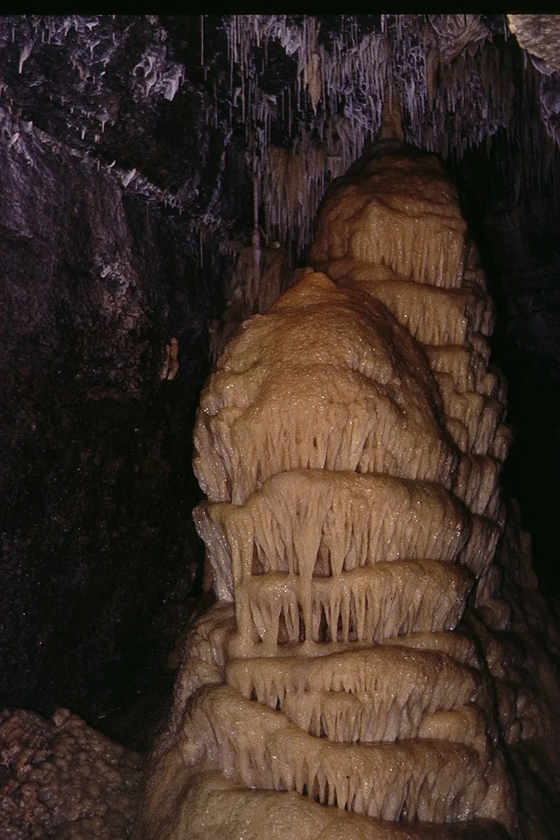 Photo of Buchen in Odenwald