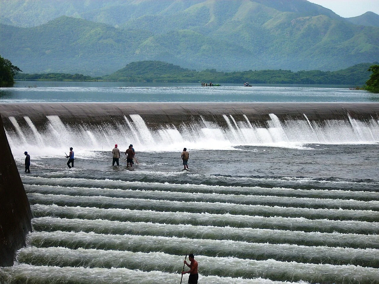 Photo of Buey Arriba