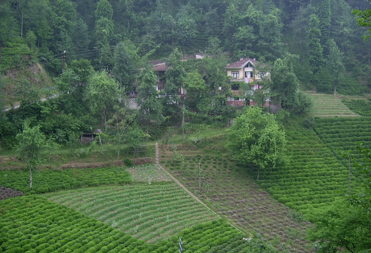 Photo of Büyükköy