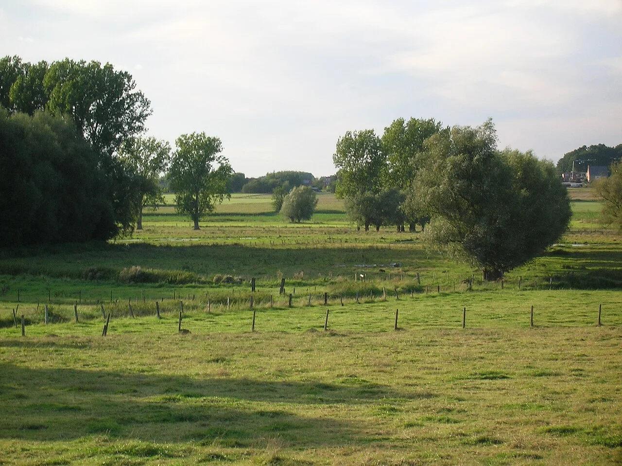 Photo of Bunsbeek