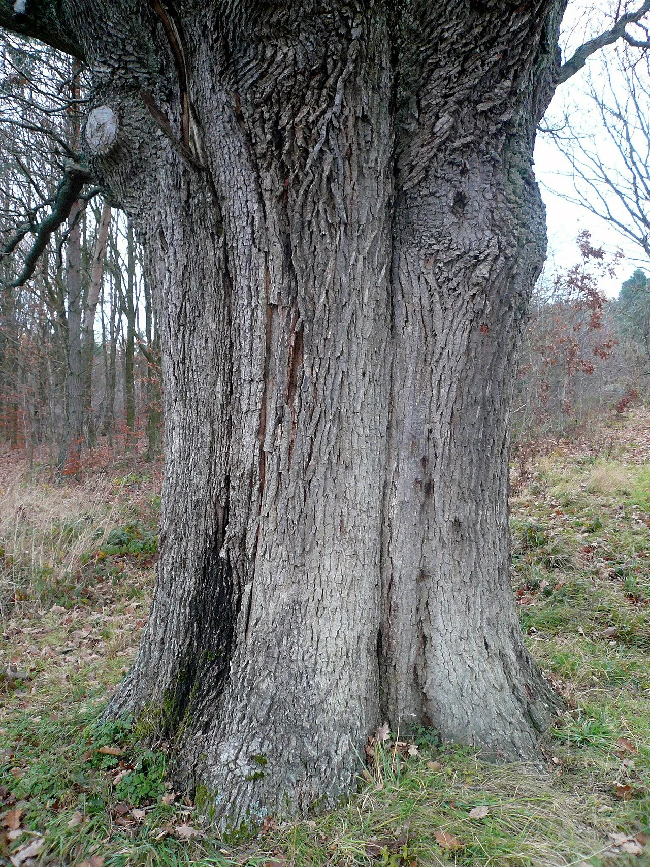 Photo of Burkardroth