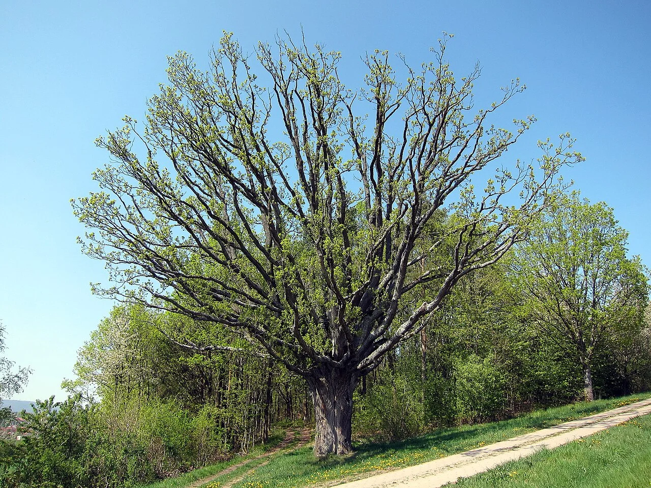 Photo of Burkardroth