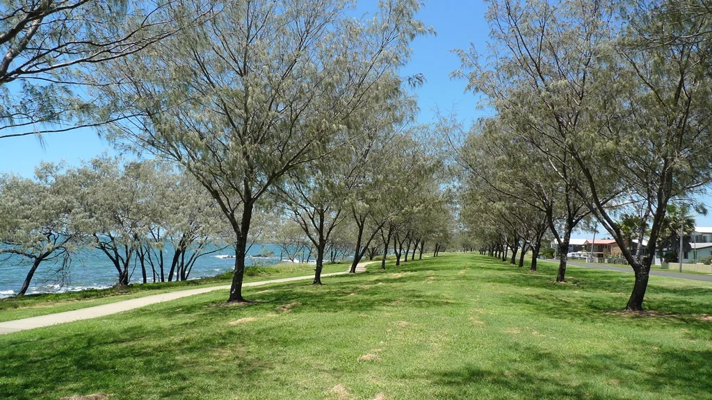 Photo of Burnett Heads