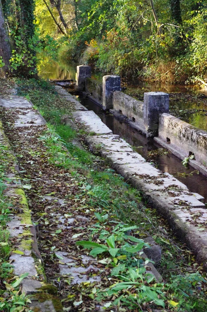 Photo of Burnhaupt-le-Bas