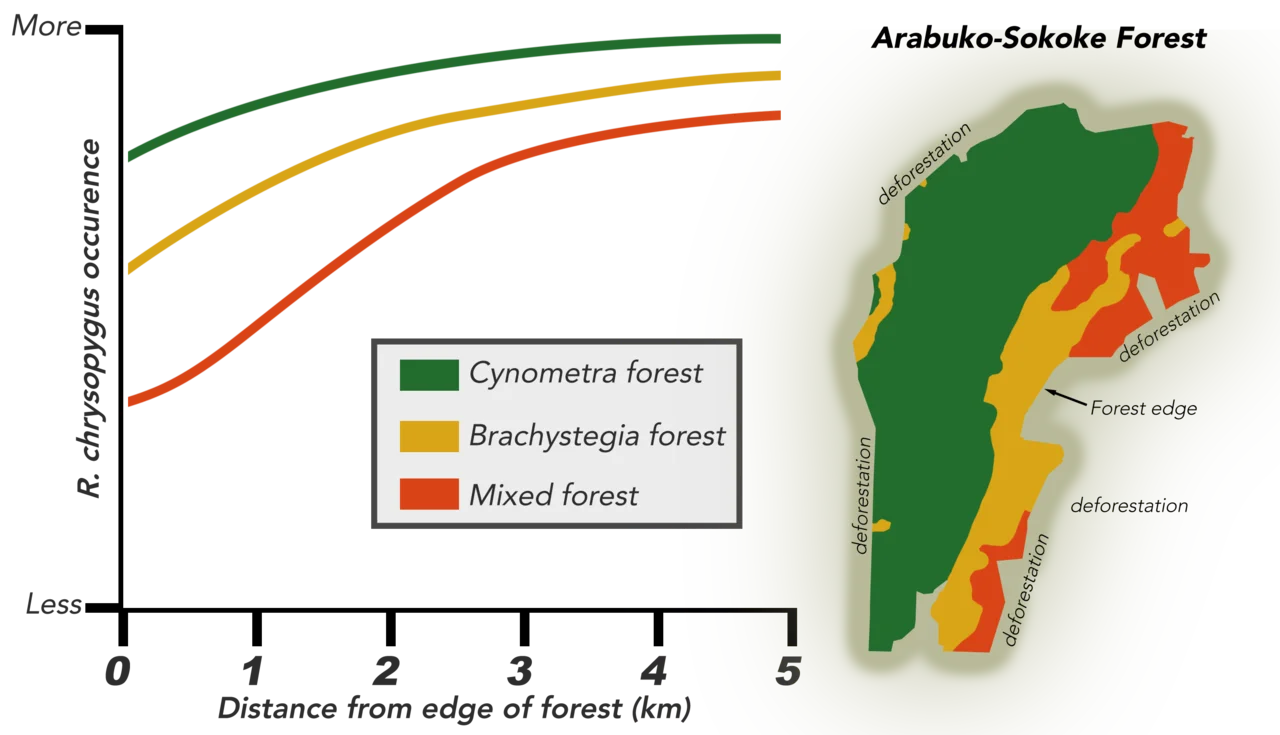 Photo of Burnt Forest
