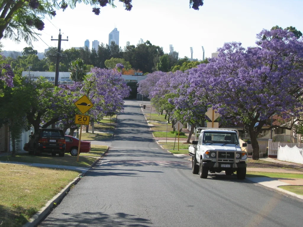 Photo of Burswood