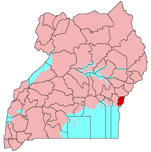 Photo of Busia