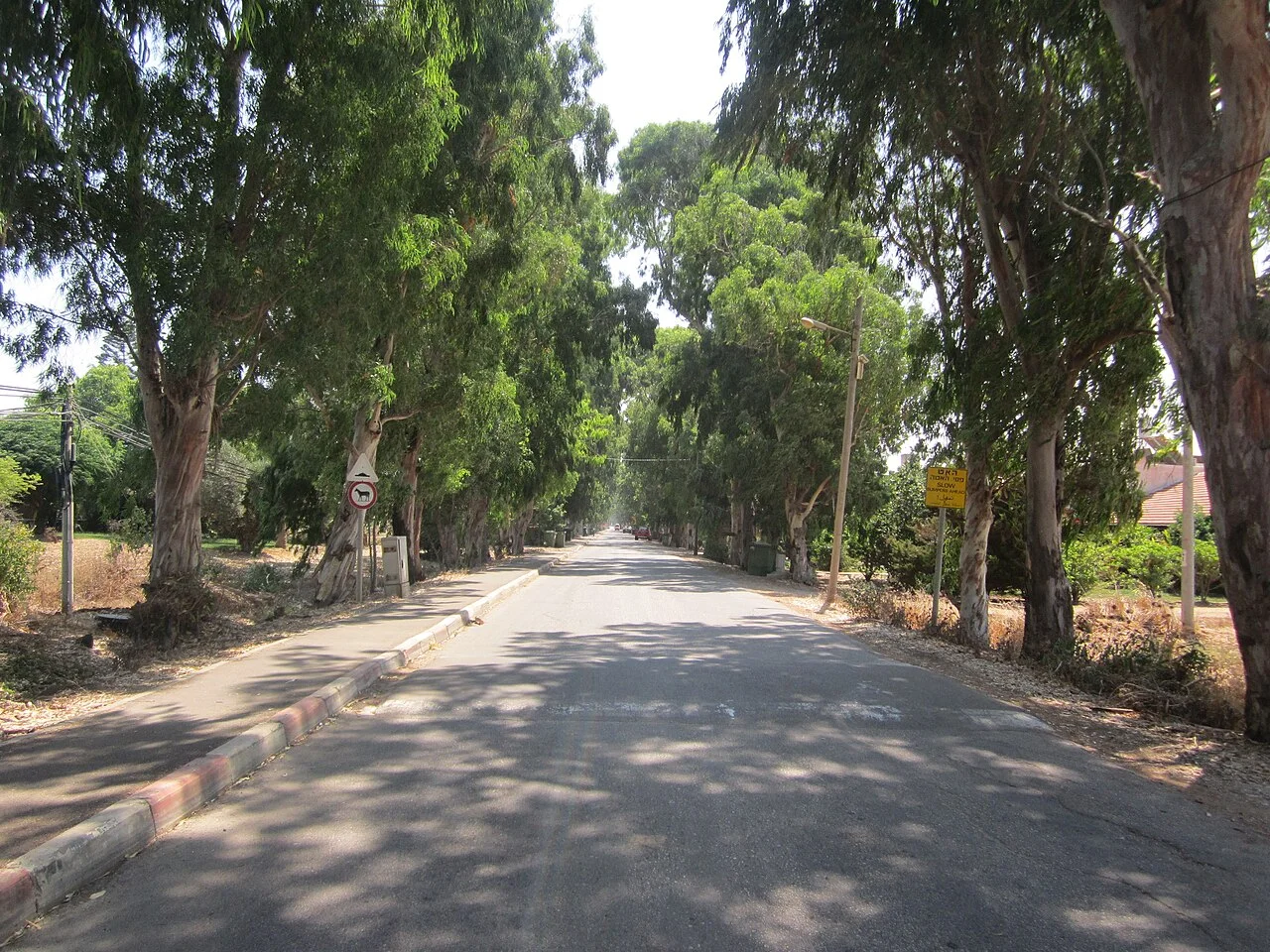 Photo of Bustan HaGalil
