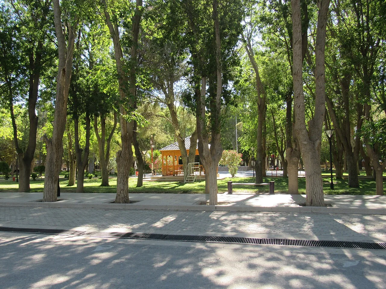 Photo of Buta Ranquil