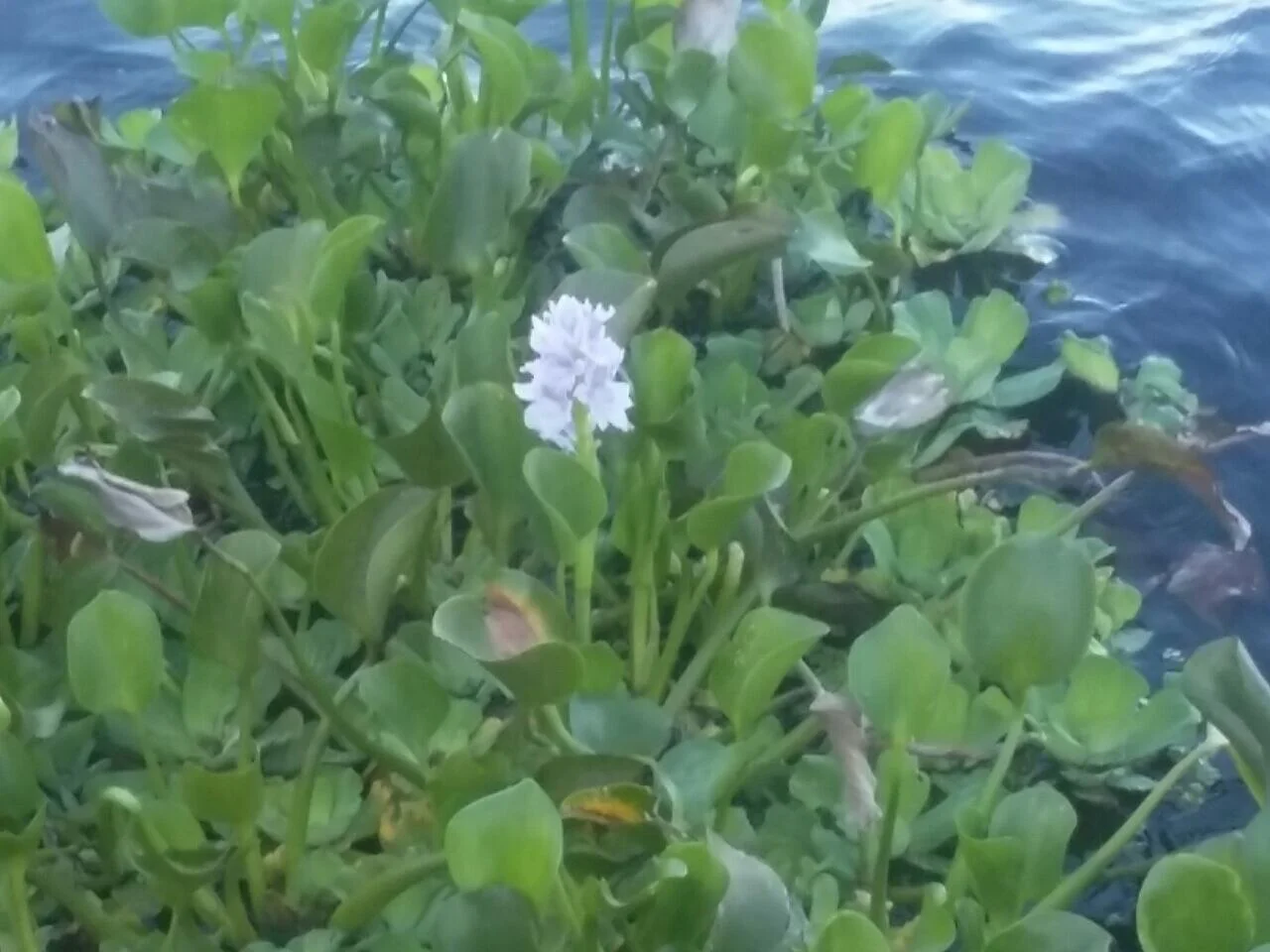 Photo of Cabaceiras do Paraguaçu