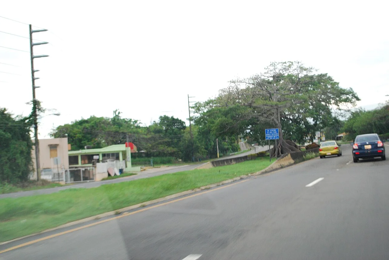 Photo of Cacao