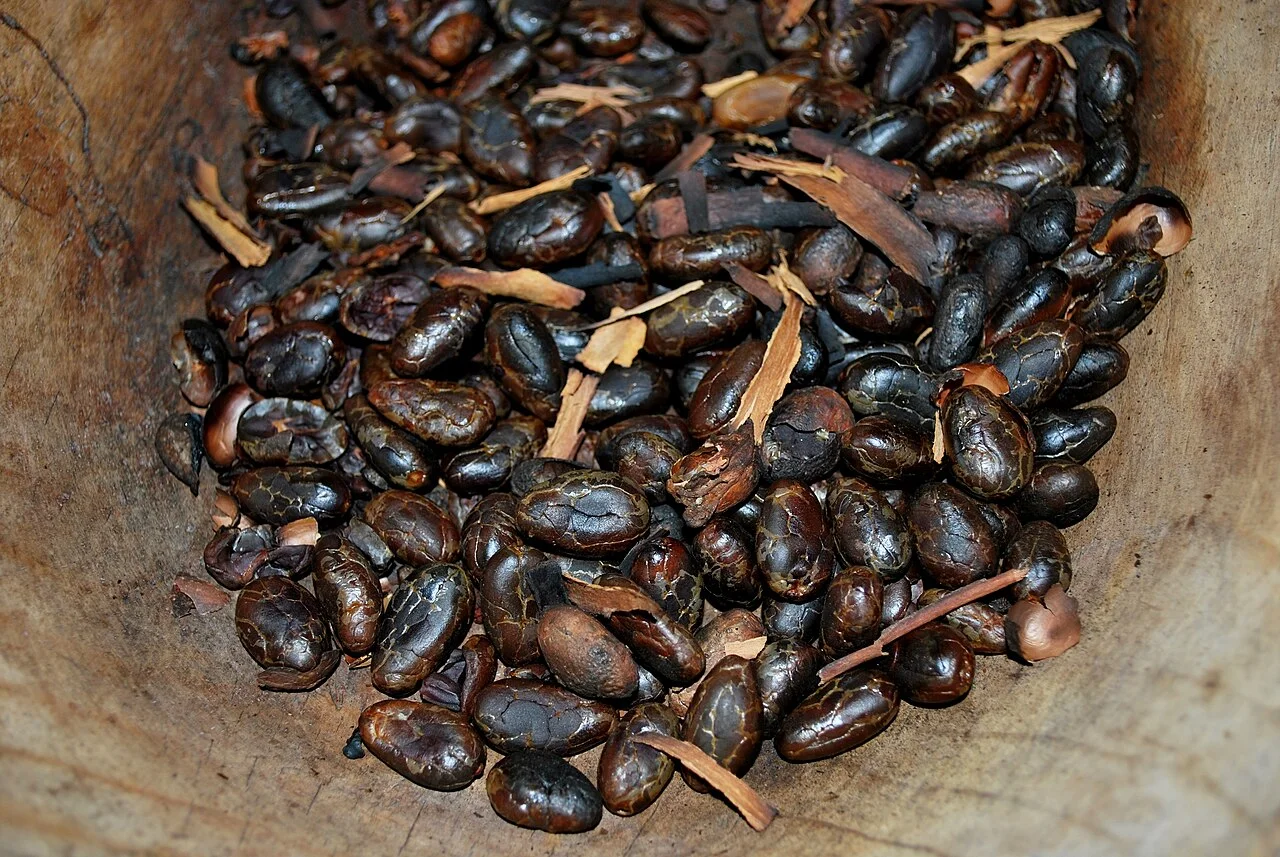Photo of Cacao