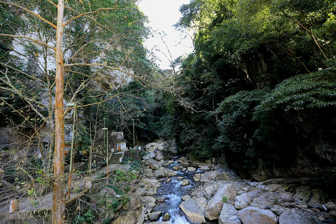 Photo of Cacaté