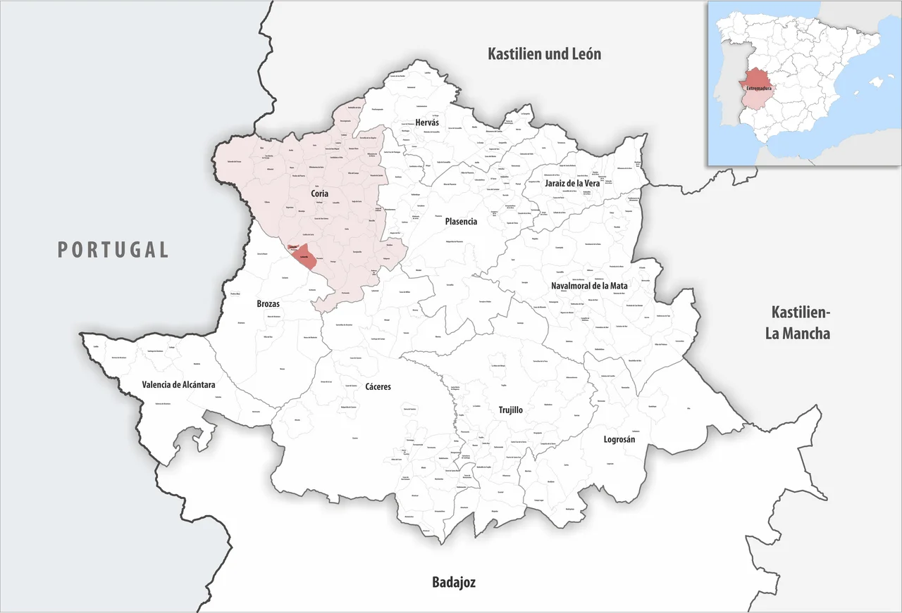 Photo of Cachorrilla