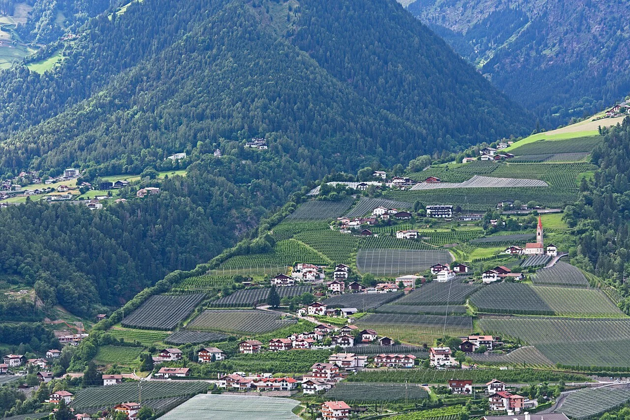 Photo of Caines - Kuens