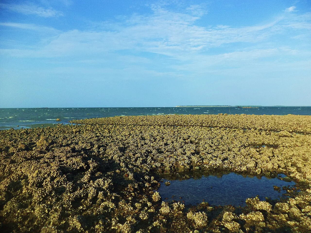 Photo of Cajueiro da Praia