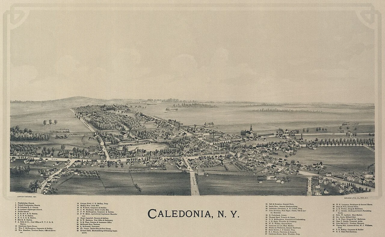 Photo of Caledonia
