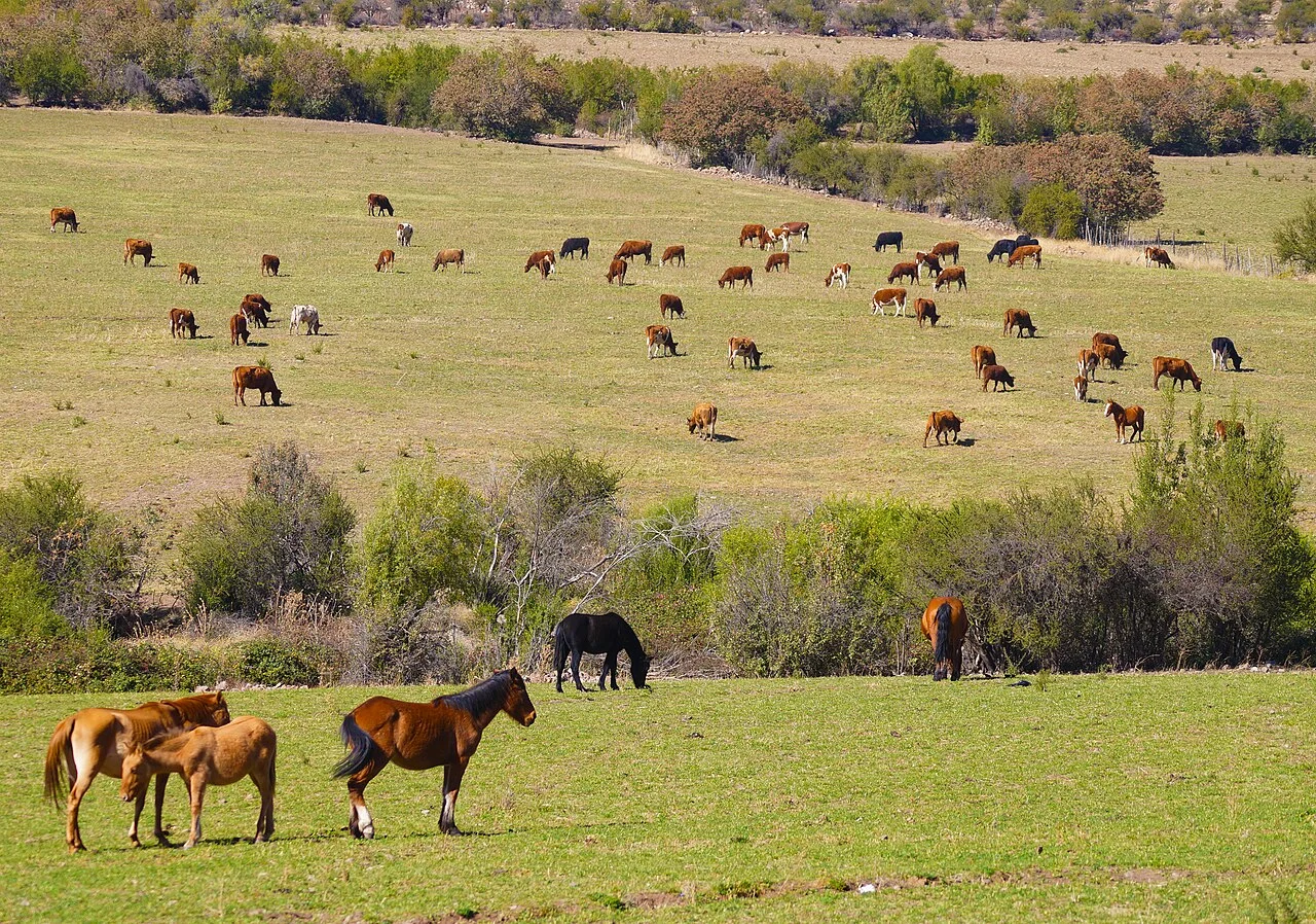 Photo of Calle Larga