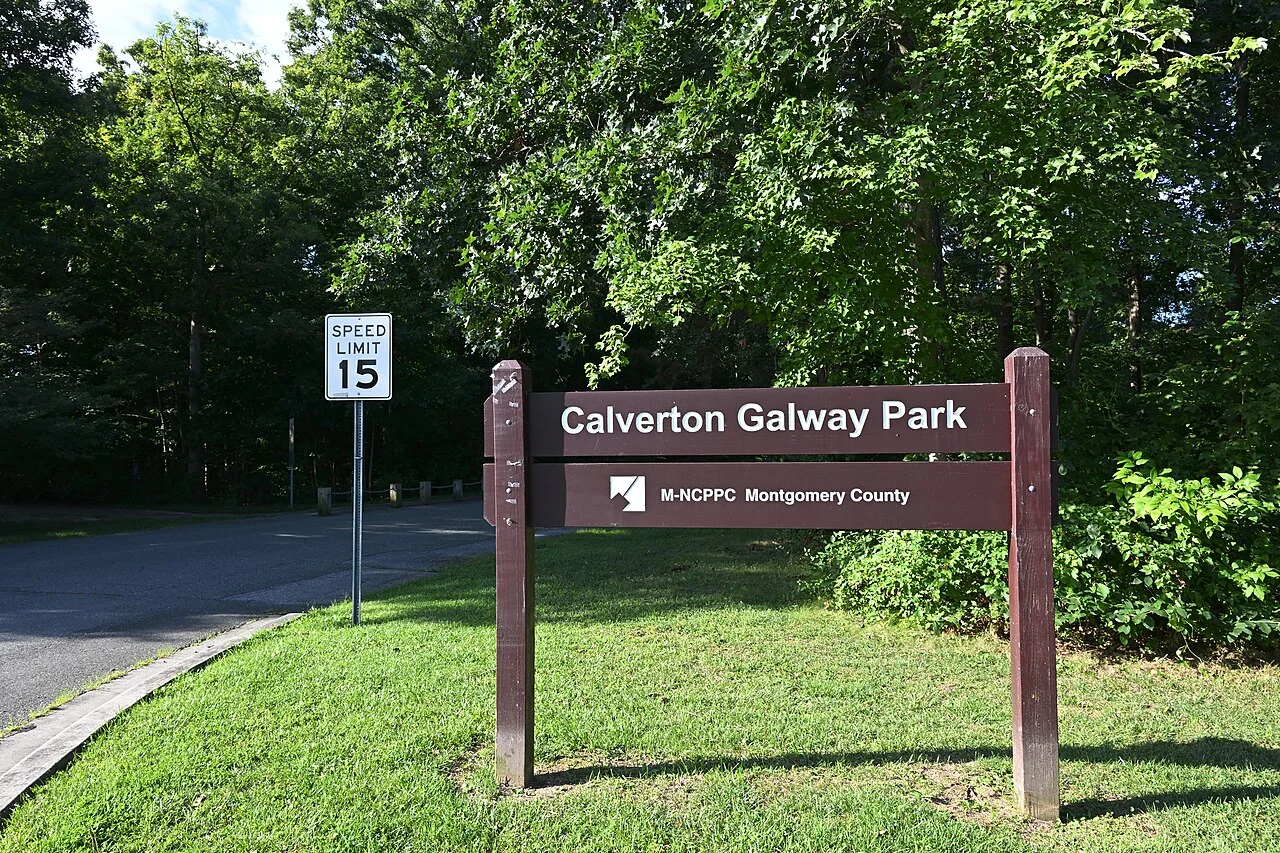 Photo of Calverton Park