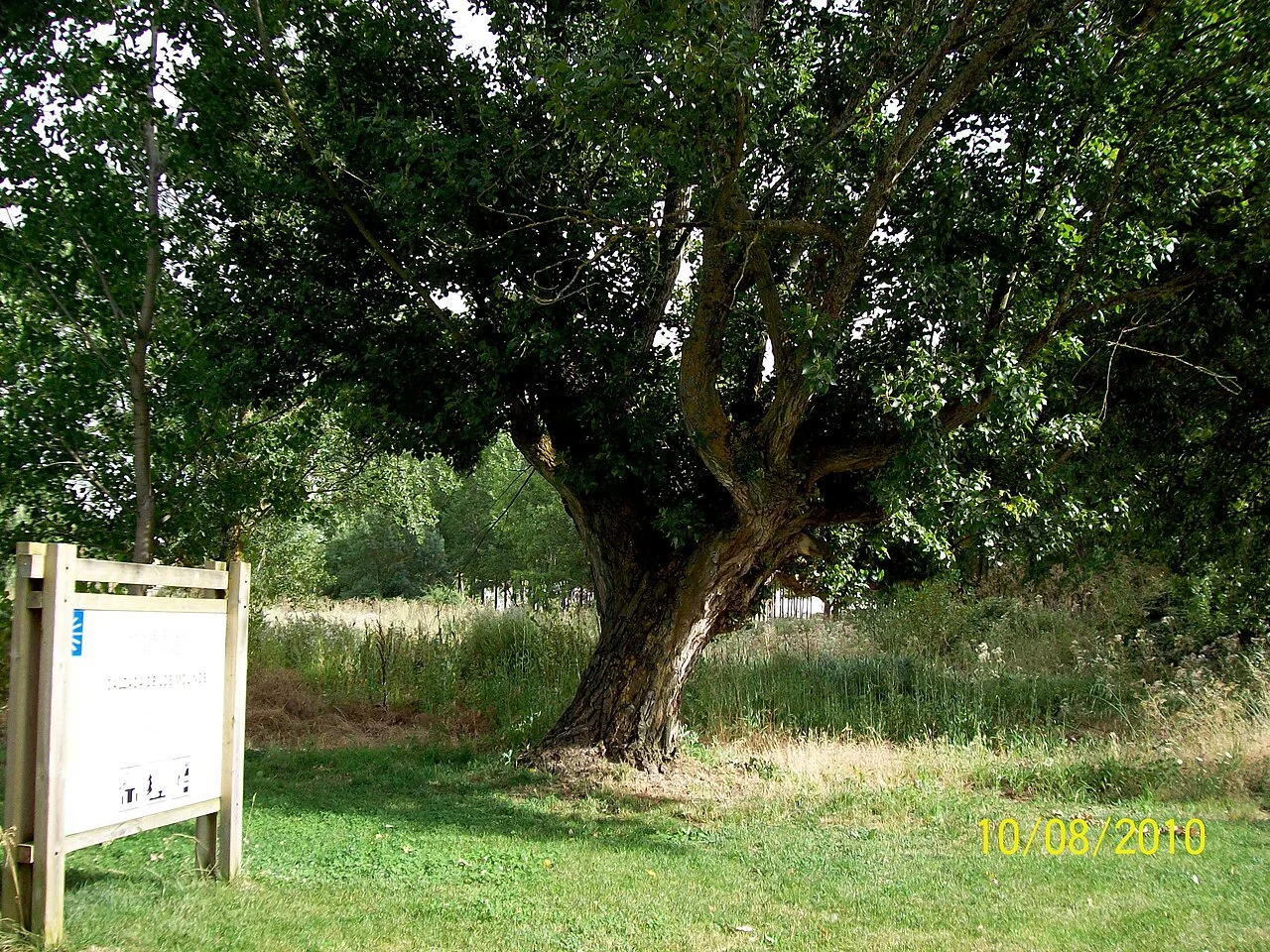 Photo of Calzada de los Molinos