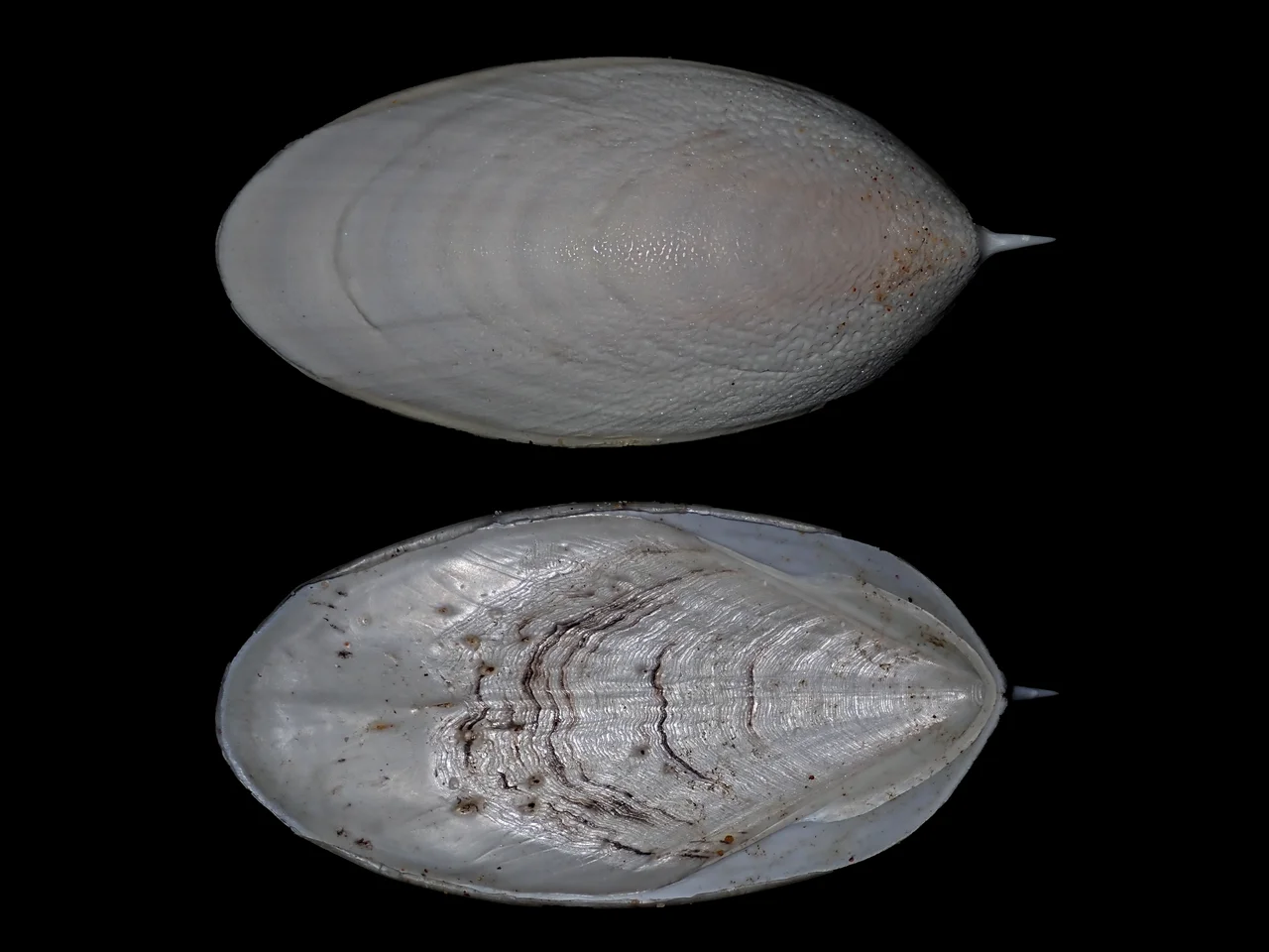 Photo of Camden Haven