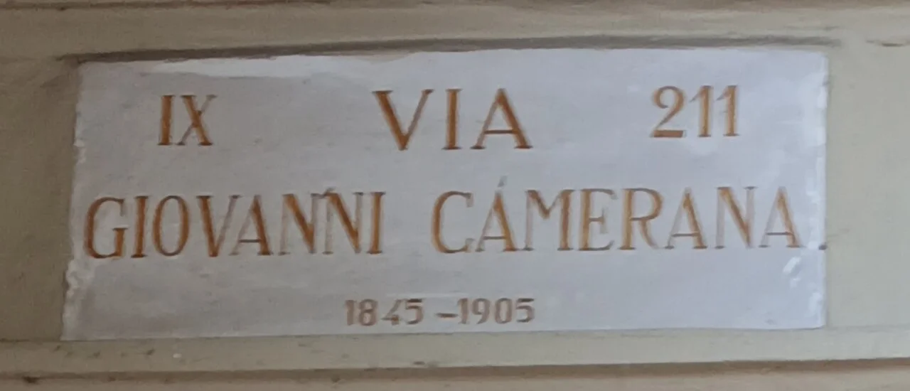 Photo of Camerana