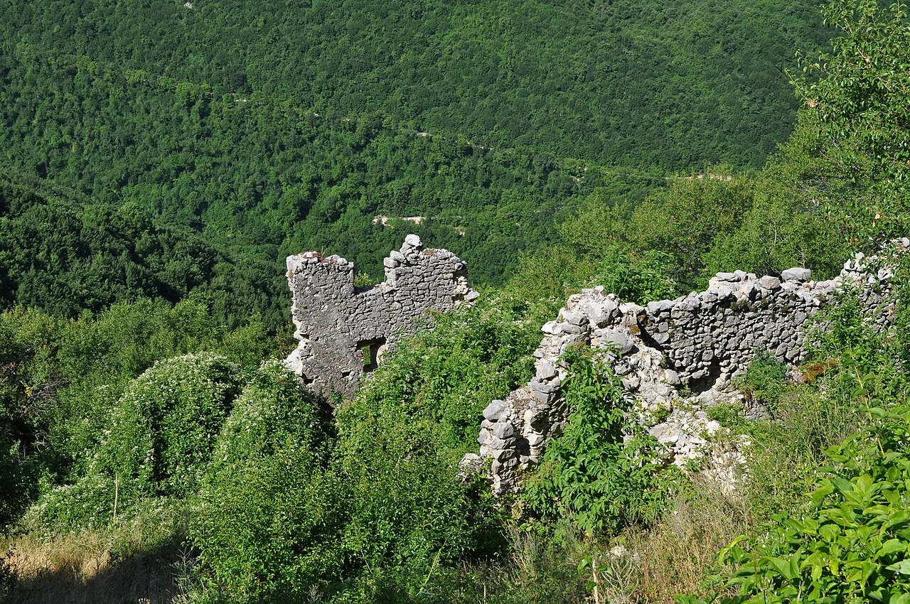 Photo of Camerata Nuova