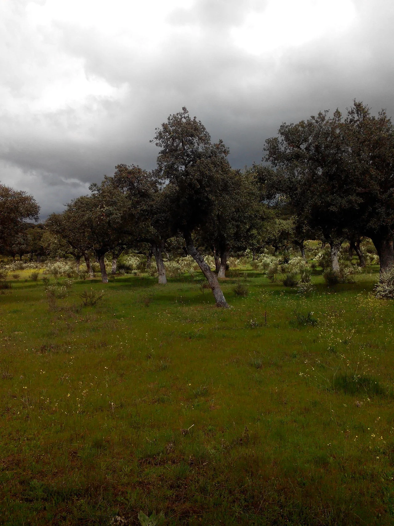 Photo of Campillo de Azaba