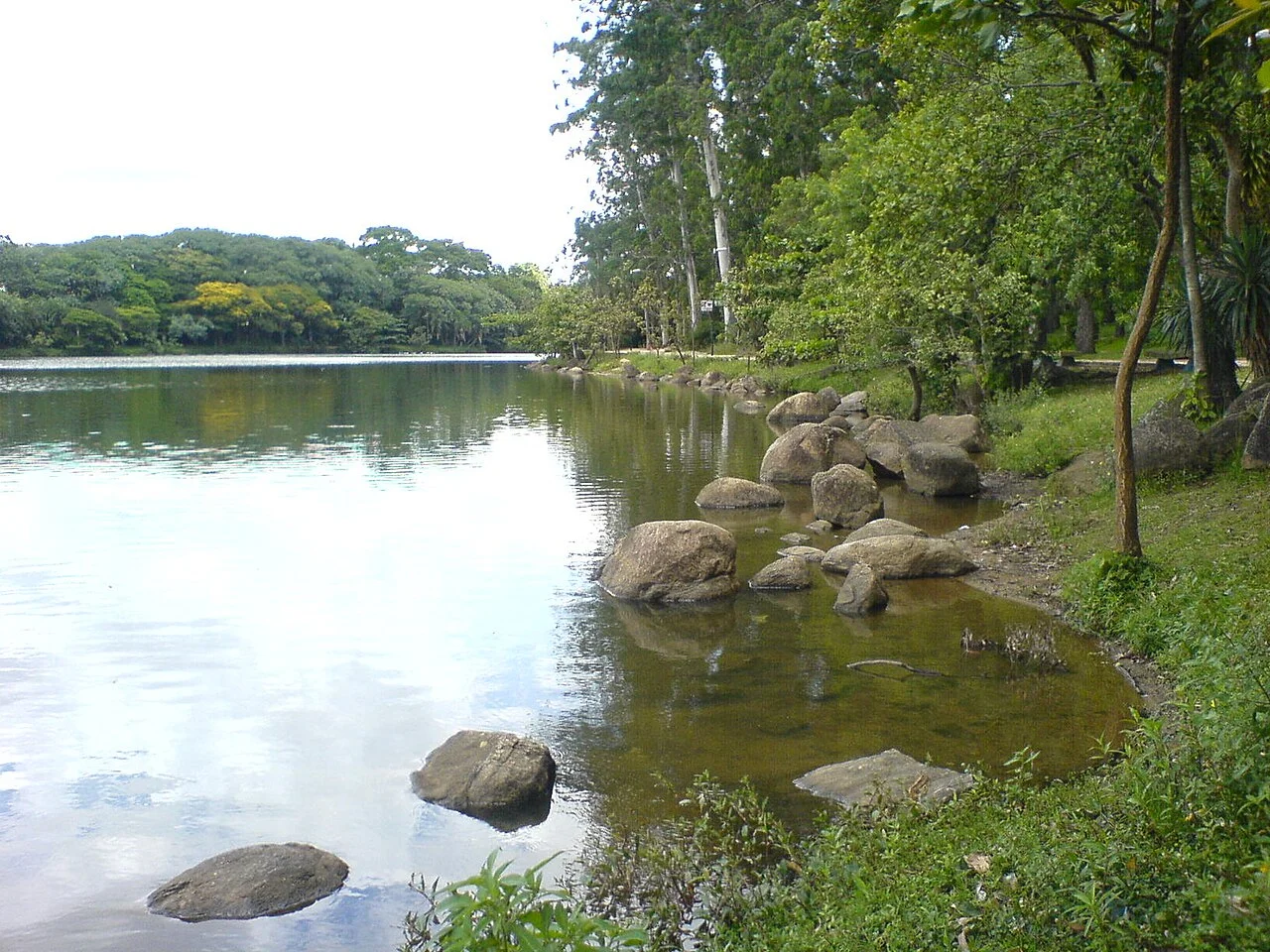 Photo of Campina da Lagoa