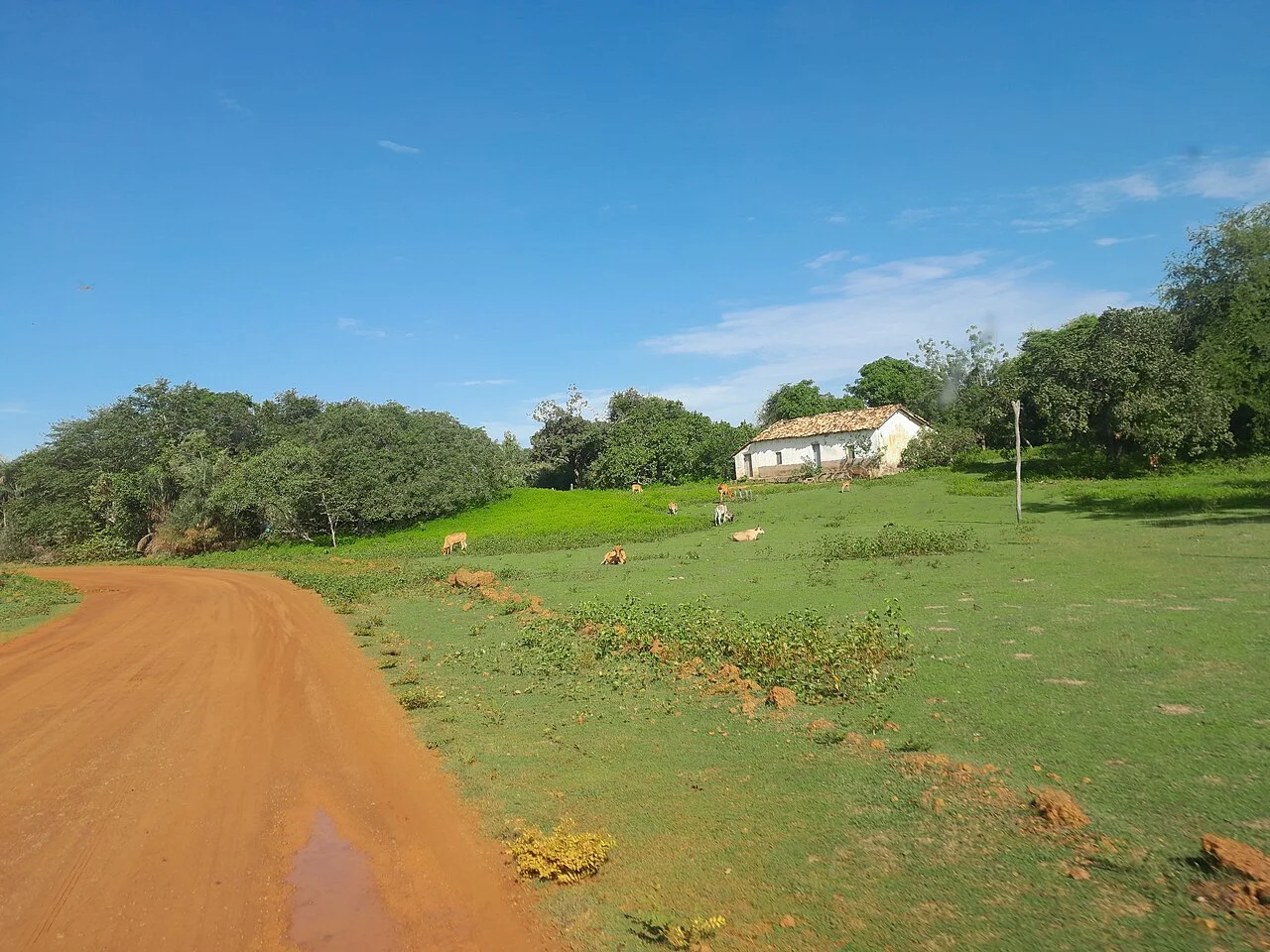 Photo of Campinas do Piauí