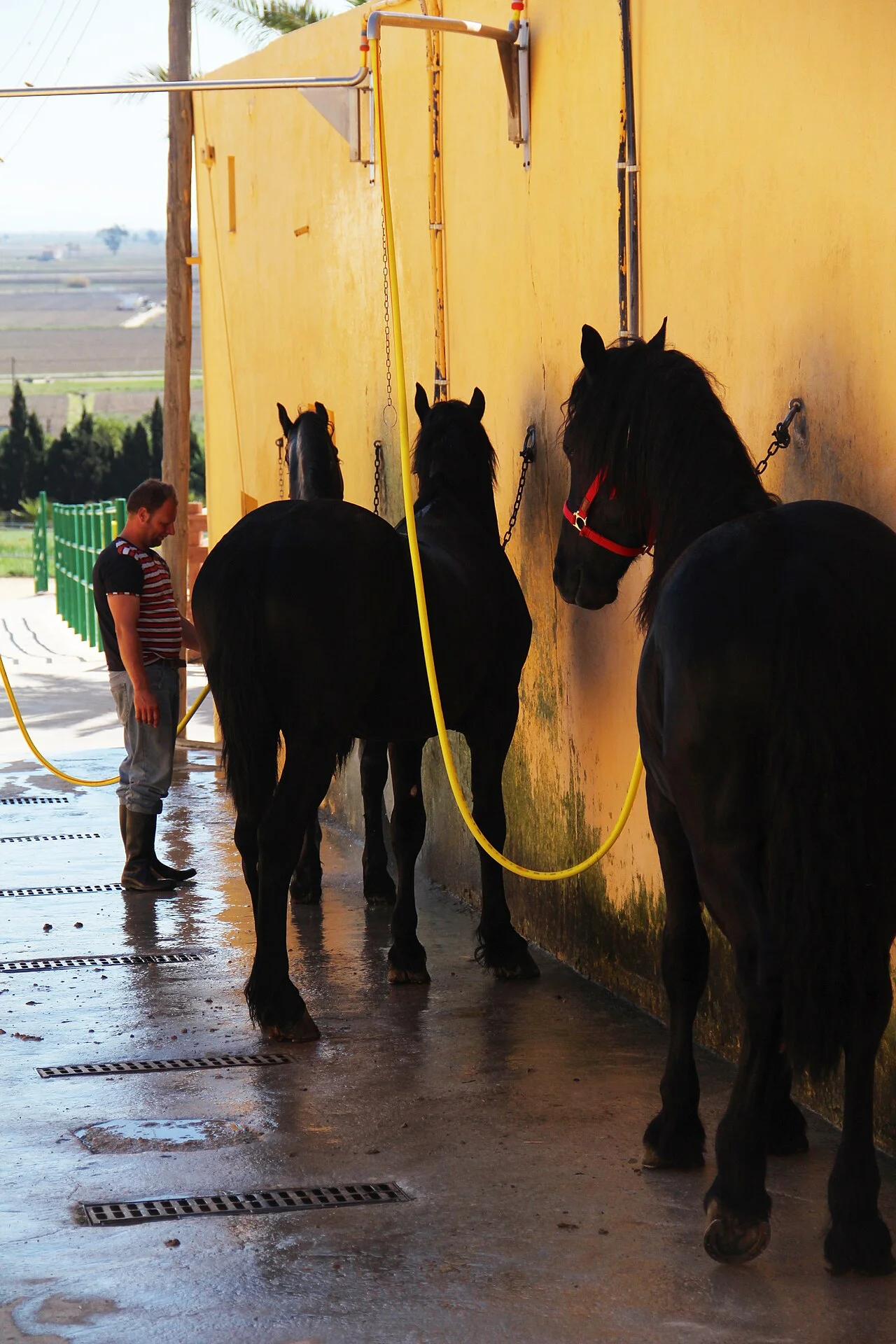Photo of Campo de la Cruz