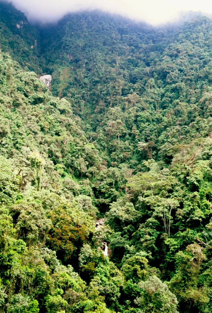 Photo of Campo Elías